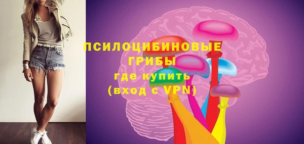 гидра Наволоки