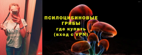 бошки Надым