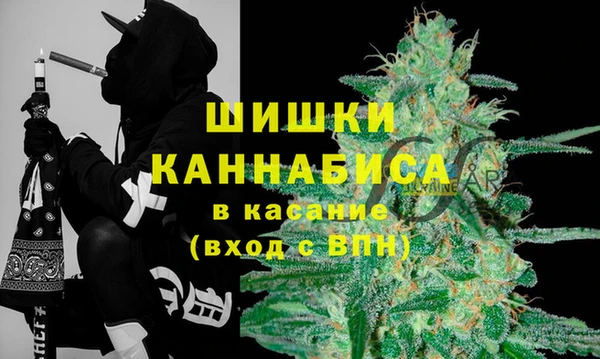 гидра Наволоки