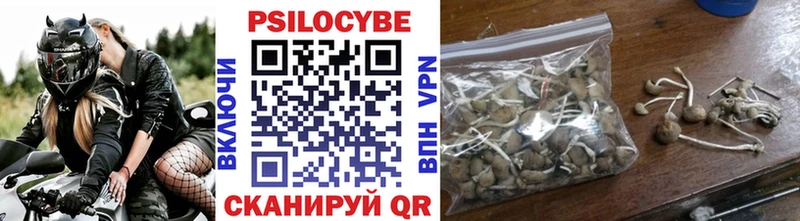 Псилоцибиновые грибы прущие грибы  Кимовск 
