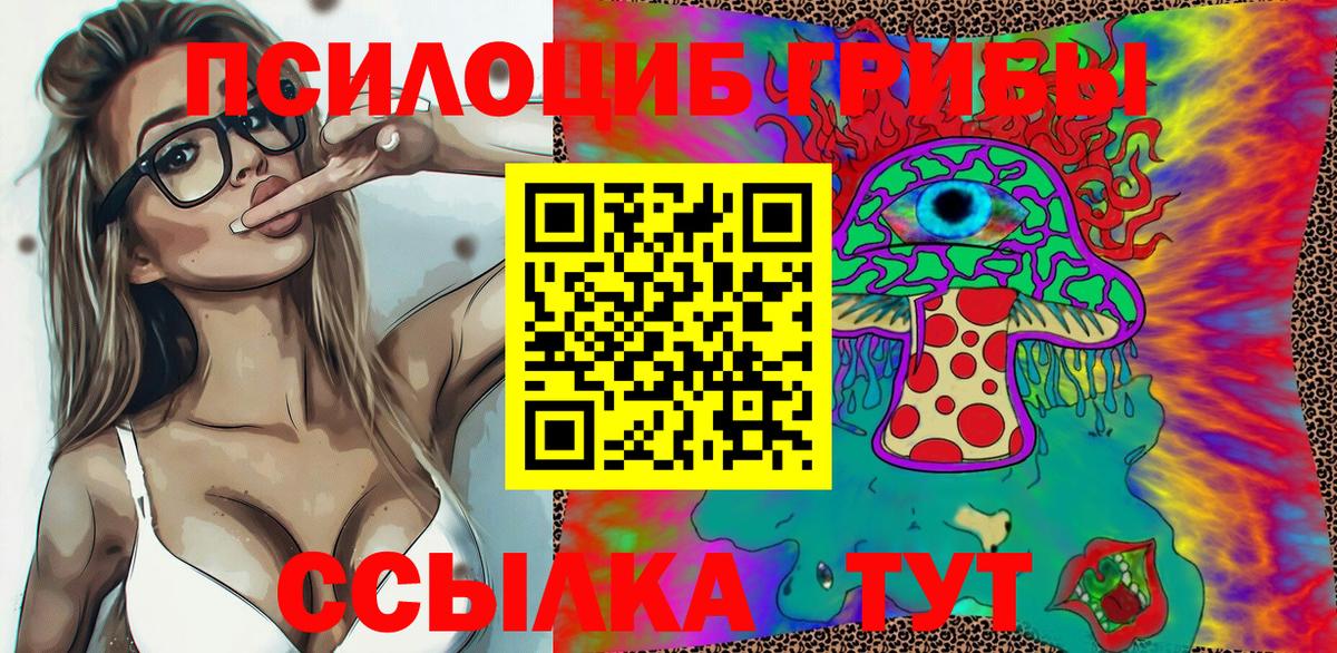 Галлюциногенные грибы Psilocybe Кимовск