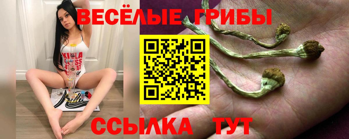 магазин  наркотиков  Вход с VPN  Кимовск  Галлюциногенные грибы прущие грибы 